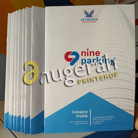 Print Carton BW 230gsm A3+