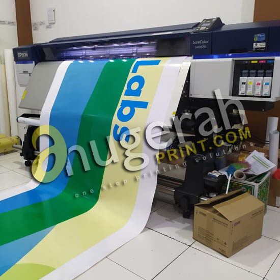 Stiker Albatros (Indoor)